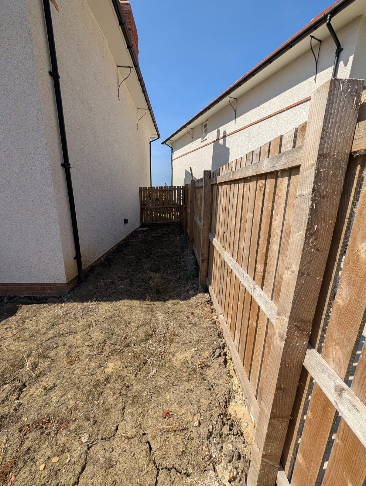 Garden after initial clearance with exposed ground